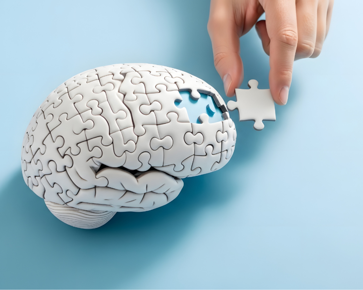 A fake brain features a puzzle piece being added.
